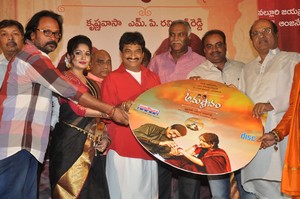 Anushtanam Movie Audio Launch